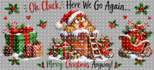 16oz Christmas-S  2681
